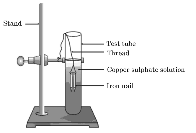 Previous Year Questions 2024