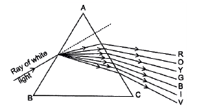 Class 10 Science Chapter 10 Previous Year Questions - The Human Eye and the Colourful World
