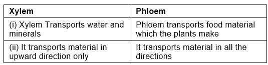 Lakhmir Singh & Manjit Kaur Solutions: Life Processes - 3 | Science Class 10