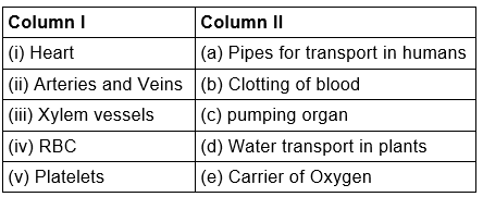 Lakhmir Singh & Manjit Kaur Solutions: Life Processes - 3 | Science Class 10