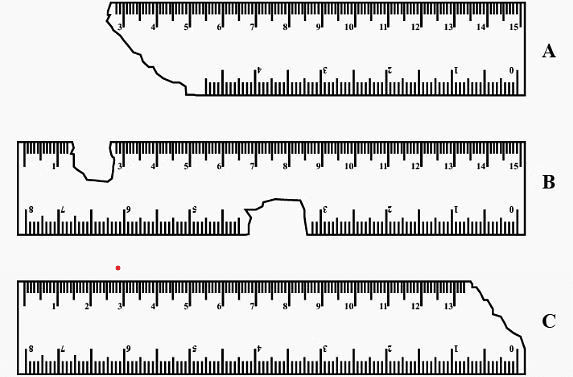 NCERT Exemplar Solutions: Motion and Measurement of Distances | Science Olympiad Class 6
