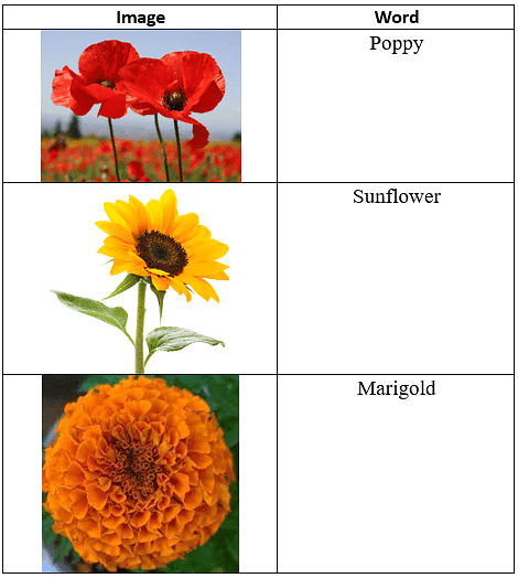The Magic Garden - 2 Class 3 Worksheet English Unit 1
