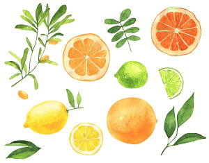 Worksheet Solutions: Foods We Eat - 1 | EVS for Class 3