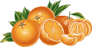 Worksheet Solutions: Foods We Eat - 1 | EVS for Class 3