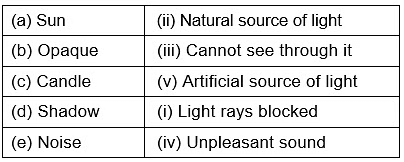 Class 3 Science - Light Sound and Force - CBSE Worksheets Solutions