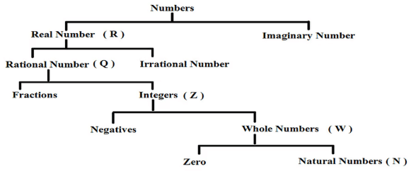 परिचय: संख्या प्रणाली | Mathematics for RRB NTPC (Hindi) - RRB NTPC/ASM/CA/TA