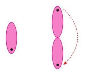 Geometry Chapter Notes | Mathematics for Grade 5