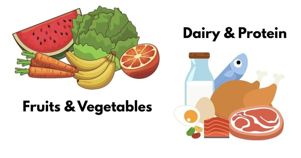 Notes: Words Related to Food | English Olympiad for Class 3