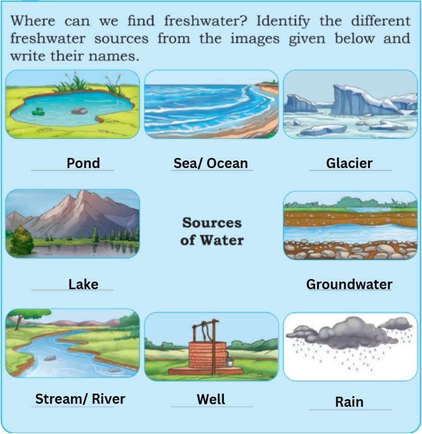 Water—The Essence of Life NCERT Solutions | Our Wondrous World  Class 5 - New NCERT