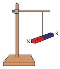 Important Questions: Exploring Magnets | Science for Class 6