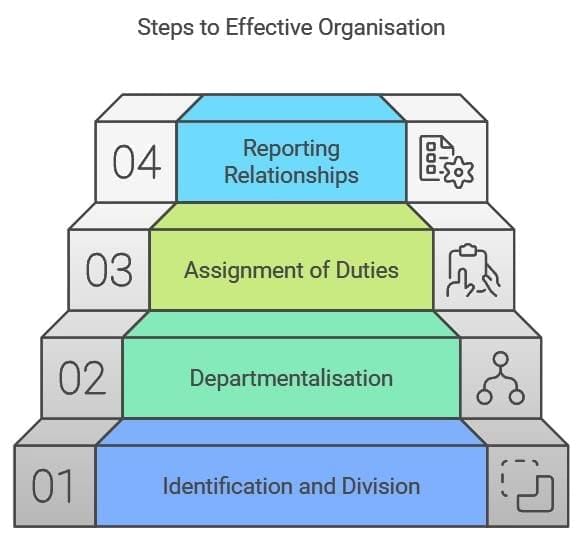 Organising - Introduction to Management | NABARD Grade A & Grade B Preparation - Bank Exams