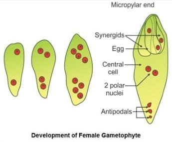 Long Answer Type Questions (5 Marks)