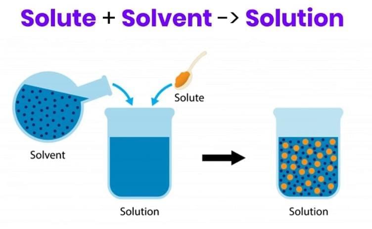 MCQ (Solution) - The Amazing World of Solutes, Solvents, and Solutions | Science Curiosity Class 8 -  New NCERT