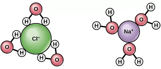 Osmosis, Osmotic Pressure & Van’t Hoff Factor | Chemistry Class 12 - NEET