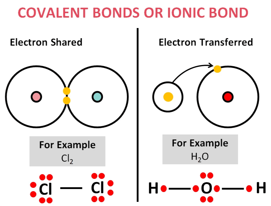 NCERT Solutions Class 11 Chemistry Chapter 4 - Chemical Bonding & Molecular Structure