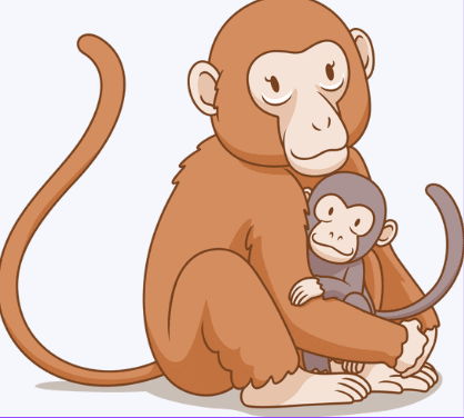 Animals Around Us - CBSE Worksheets- 2 Solutions