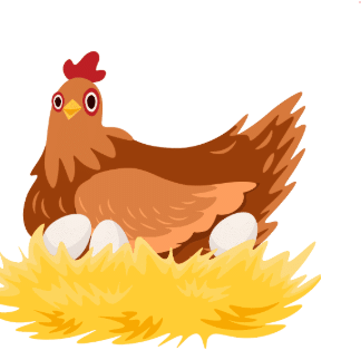 Worksheet Solutions: Animals are Birds too | EVS for Class 1