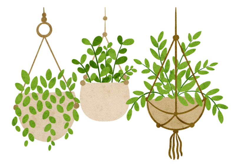 Worksheet Solutions: Nature and Our Earth | EVS for Class 1