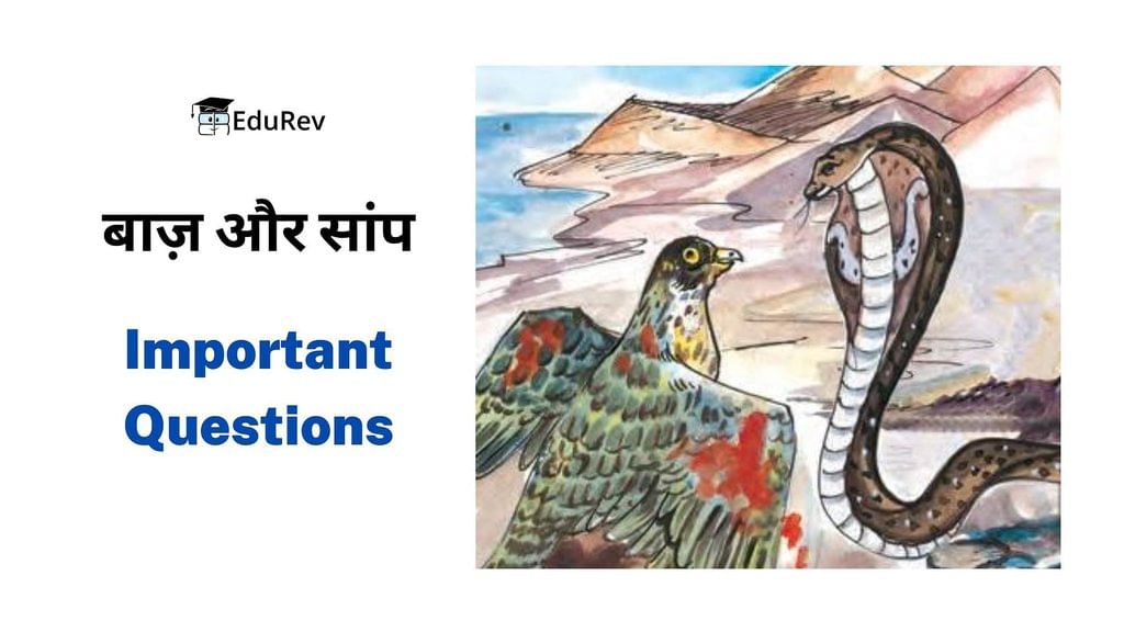 Important Questions: बाज और साँप | Hindi Class 8