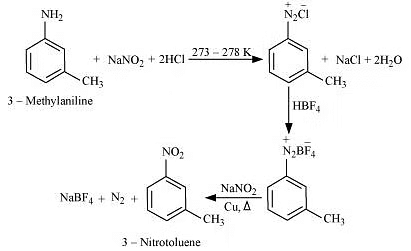 NCERT Solutions Class 12 Chemistry Chapter 9 - Amines