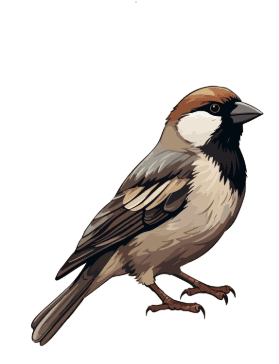 Worksheet: Animals are Birds too | EVS for Class 1