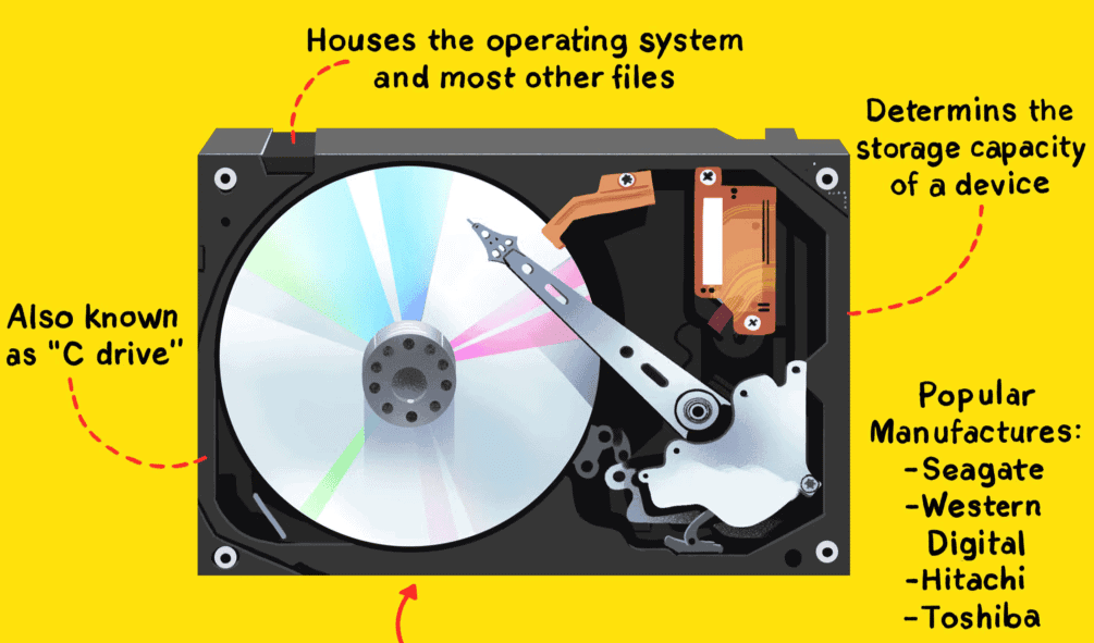 Know your Computer Chapter Notes | Computer & Robotics for Class 1