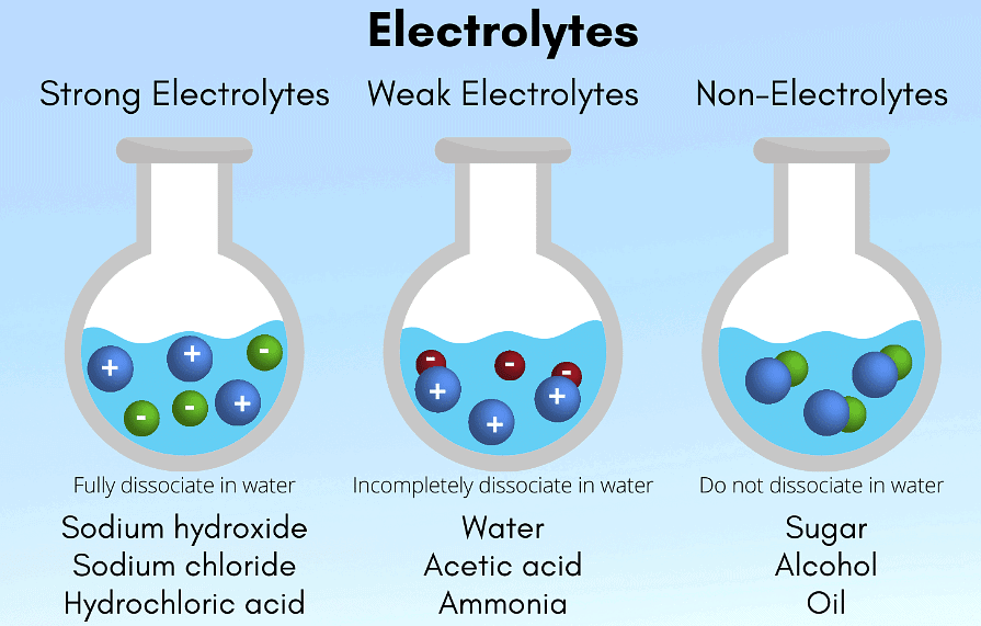 Solutions: Mixtures & Types of Solutions | Chemistry Class 12 - NEET