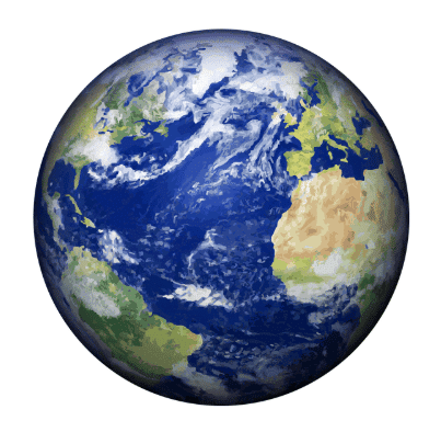 Worksheet Solutions: Nature and Our Earth | EVS for Class 1