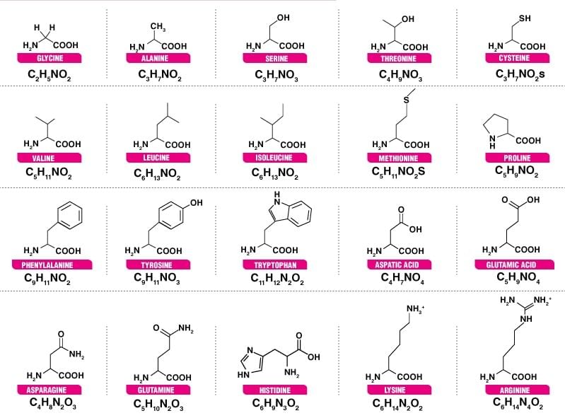 Name and Structure of various Amino Acids.