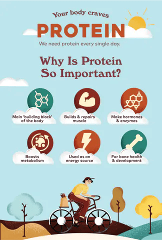 Extra Questions and mcqs on Components of Food Class 6 Science - Components of Food