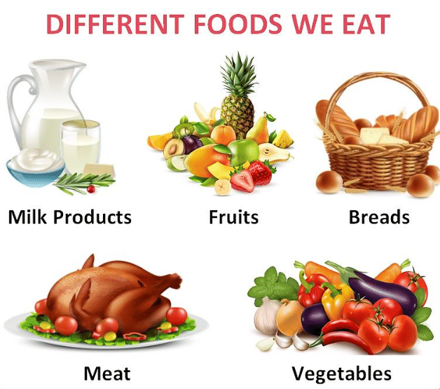 Worksheet: The Food we Eat - 1 | Worksheets with solutions for Class 1