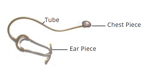 Stethoscope