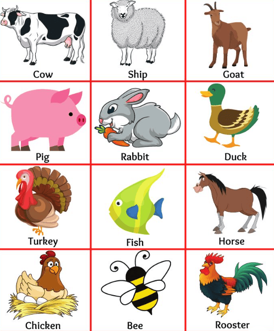 Animals- Food and Shelter Class 1 Notes EVS