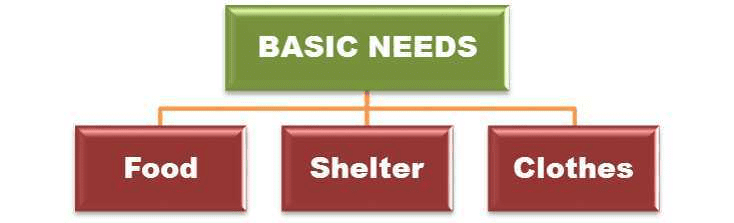 Our Needs: Food, Shelter and Clothing Class 1 Notes Science