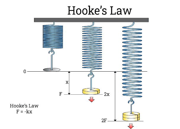 Mechanical Properties of Solids | Physics Class 11 - NEET