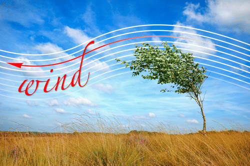 Q1: Fill in the blanks with words from the boxes.