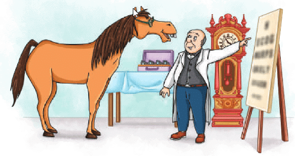 Class 7 English Unit 2 Worksheet Solutions - Animals, Birds and Dr. Dolittle
