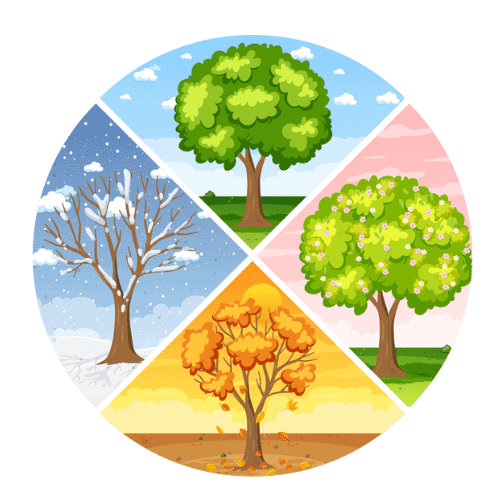 Weather - 1 Class 1 Worksheet Science
