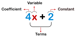 Polynomials Class 10 Notes Maths Chapter 2