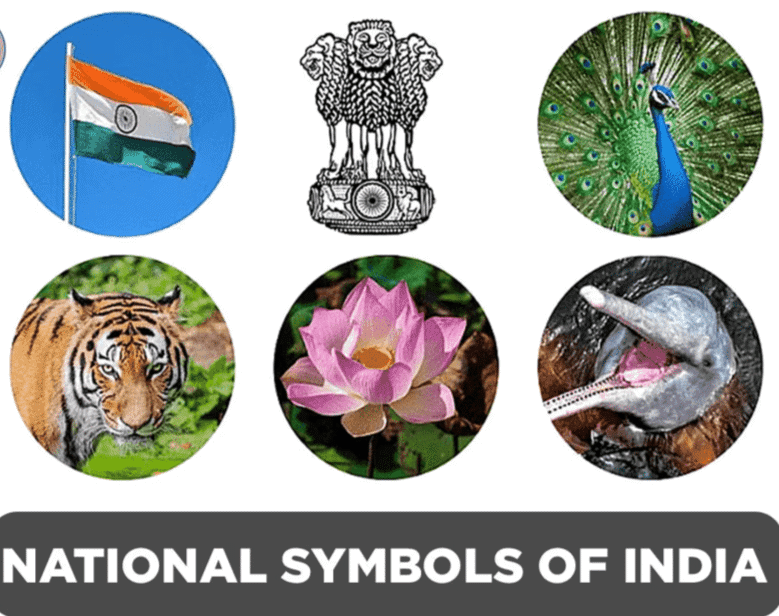 My Country - India | EVS for Class 1