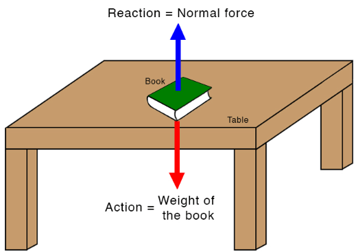 Newton`s Third Law