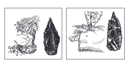 Stone tools used for digging