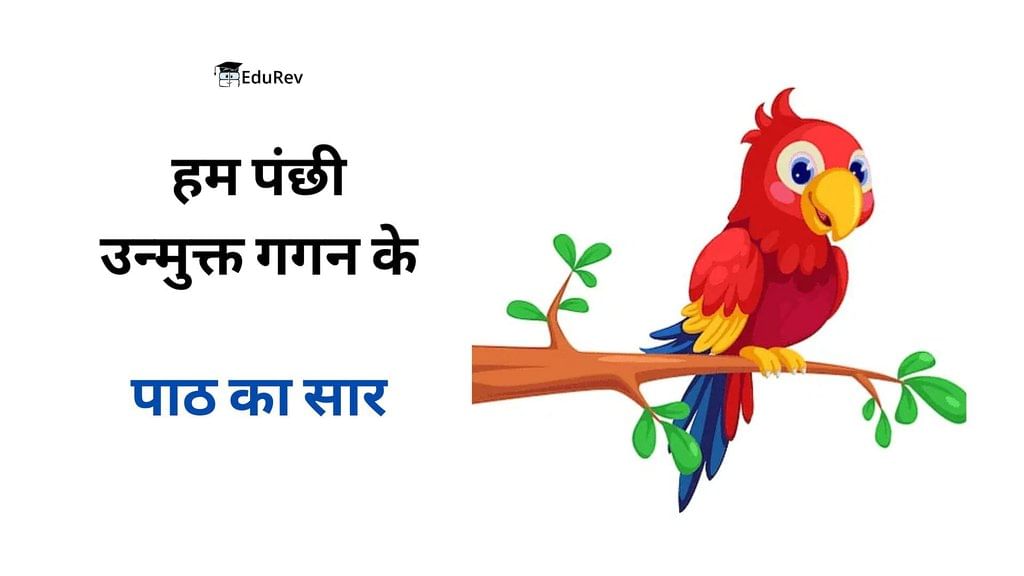 Summary: हम पंछी उन्मुक्त गगन के | Hindi (Vasant II) Class 7 (Old NCERT)