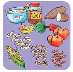 Class 4 EVS Worksheet Solutions Chapter 5 Food for Health