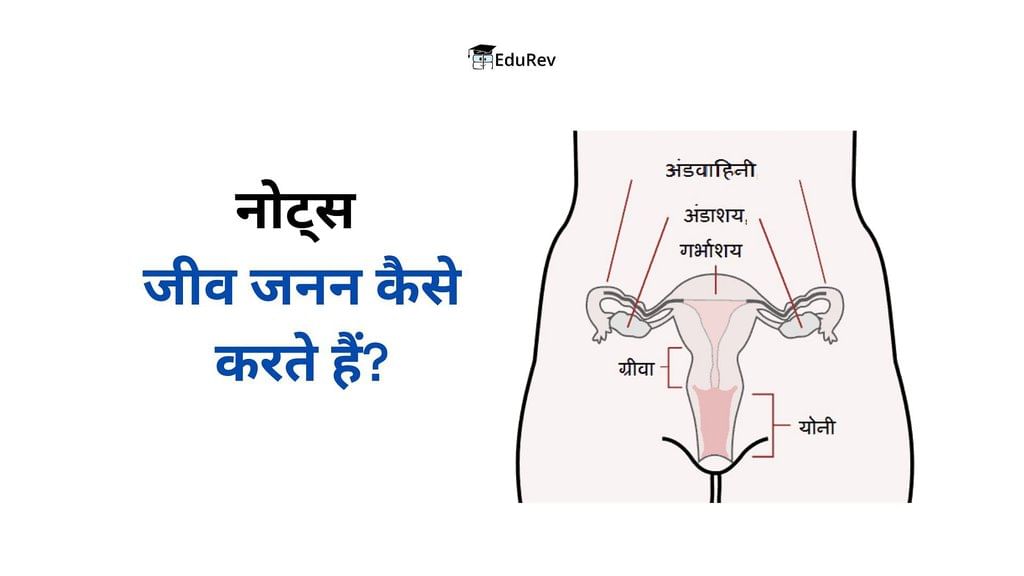 नोट्स, पाठ - 8 जीव जनन कैसे करते हैं? (कक्षा दसंवी) - Class 10