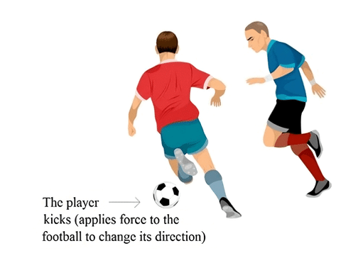 Force and Laws of Motion Class 9 Notes Science Chapter 8