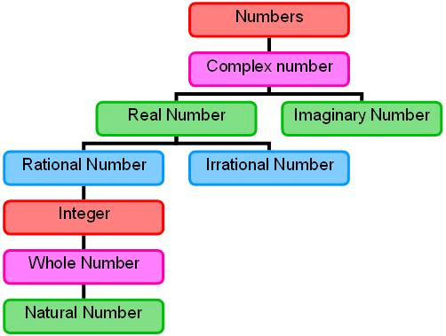 Whole Numbers | Advance Learner Course: Mathematics (Maths) Class 5