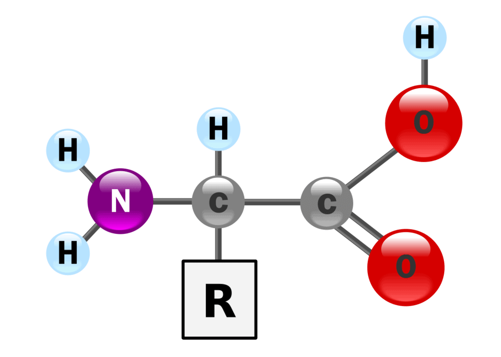 Amino Acids: Properties, Structure & Classification | Organic Chemistry