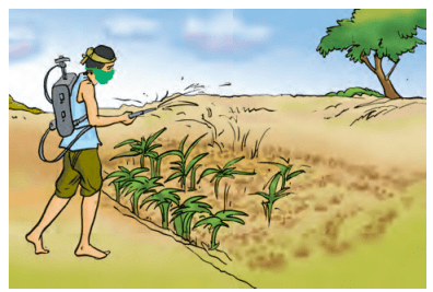 Crop Production and Management Class 8 Notes Science Chapter 1
