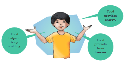 Food for Health Class 4 Notes EVS Chapter 5 Free PDF